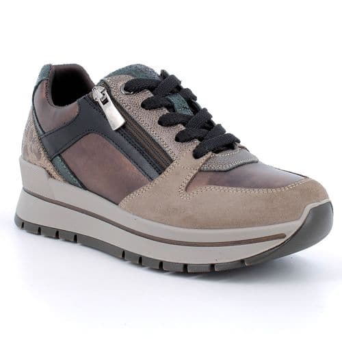 Igi 21741 Trainer