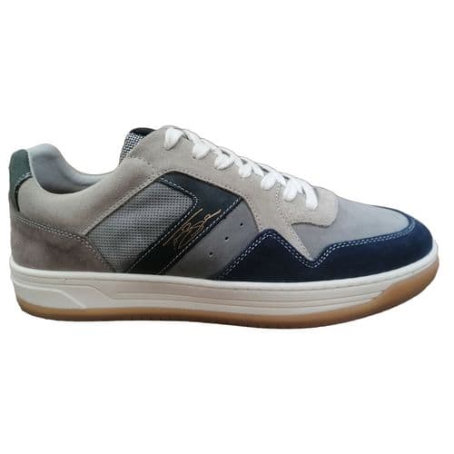 Lloyd & Pryce MCCARTHY Trainer