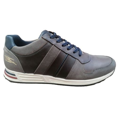 Lloyd & Pryce SKELTON Trainer