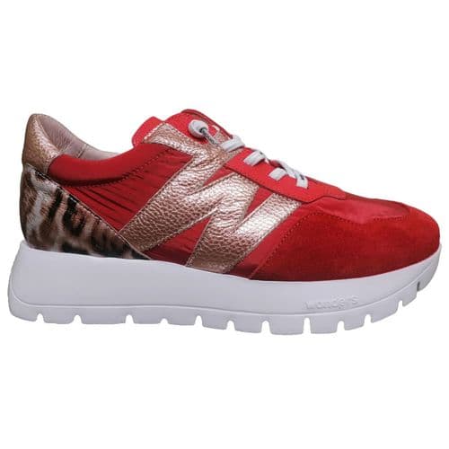 Wonders A24100 Trainer