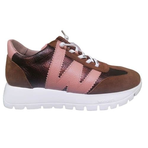 Wonders A2476 Trainer