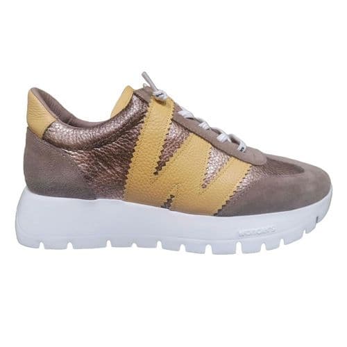 Wonders A2476 Trainer