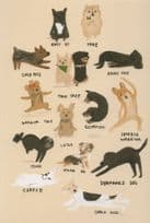 14x Dog Pose incl Lotus Corpse Tree Position Comic Dogs Postcard