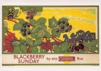 1929 London Blackberry Fruit Picking Poster Transport Postcard