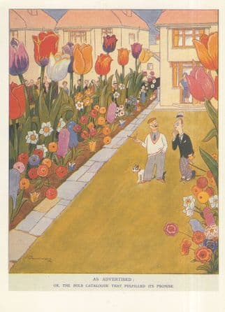 1930s Garden Dog & Giant Tulips Punch Magazine Comic Postcard