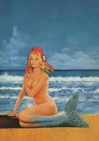 1970s French Military WW2 Aircraft Hat Sea Mermaid Painting Postcard