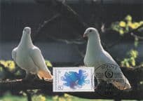 1986 German Internationale Jahr Des Friedens White Bird FDC Postcard