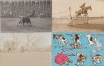 20x Blood Sport Fox Hunting Horse Racing Bull Killing Fighting Postcard Bundle