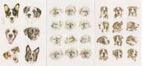 30 Dogs 3x Dog Amazing Faces Painting Postcard s