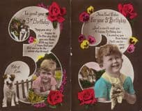 3rd Birthday Cats Dogs 2x Real Photo Greetings Postcard s