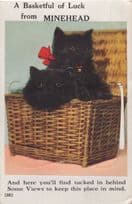 A Basketful Of Luck From Minehead Cat Mailing Novelty Old Postcard