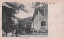 A Convent Garden Penang Malaysia Kaulfuss No 49 Antique Postcard