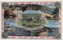 A Devonshire Sachet Mailing Novelty RARE Antique Postcard