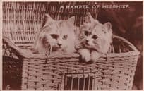 A Hamper Of Mischief Cat Kittens Tucks Rare RPC Postcard