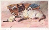 A Happy Family Mabel Gear Artist Signed Siamese Cat Postcard