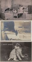 A Knotty Problem Dogs Drinking Tea 3x Dog Old Postcard s