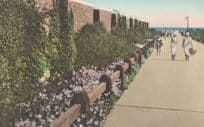 A Landscaped Walk at West Bathhouse Jones Beach State Park New York Postcard