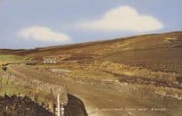 A Moorland View Near Hawes Yorkshire Dales 1950s Postcard