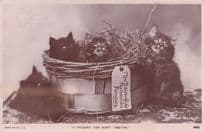 A Present For Aunt Tabitha Scared Basket Of Kittens Antique Cat Postcard