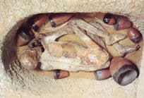 A Reconstructed Burial Gebelein Egypt Museum Postcard