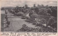 A Street In Puntarenas Costa Rica Antique South America Postcard