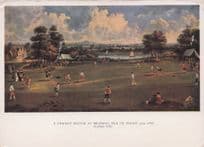 A Victorian Cricket Match At Brading Isle Of Wight Painting Postcard