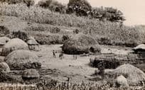 A Zulu Homestead South African Tribe Houses RPC Old Postcard