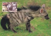 Aardwolf Protele Erdwolf WWF Wolf Rare Ethiopia Stamp FDC Postcard