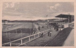 Aarhus Denmark Horse Racing Race Stadium Antique Postcard