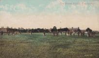 Abbey Fields Colchester Recreation View Park Essex Playing Sports Sport Postcard