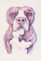 Abstract Dog Missing Ears Painting Postcard