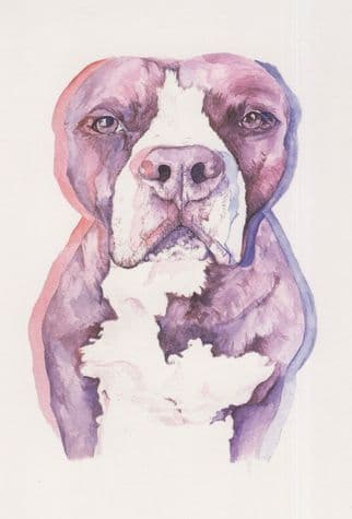 Abstract Dog Missing Ears Painting Postcard