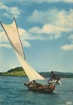 Acacia Yacht Boat Race Martinique Rare Postcard