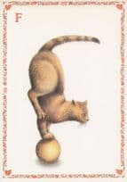Acrobat Circus Cat Handstand On Ball Cats Alphabet Letter F Postcard