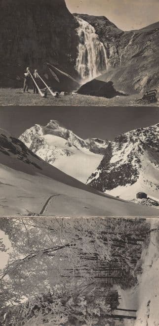 Adelboden Alphornblaser Winter Wonderland Switzerland 3x Postcard s