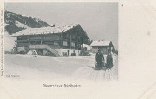 Adelboden Bauerhaus Vintage Switzerland Wheelbarrow Postcard