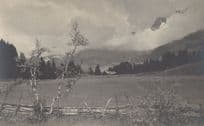 Adelboden Crooked Fence Wonky Tree Old WW1 Switzerland Postcard