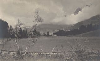 Adelboden Crooked Fence Wonky Tree Old WW1 Switzerland Postcard