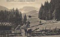 Adelboden Engstligenalp Switzerland Farmer Cattle Old Postcard