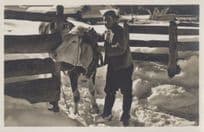 Adelboden Farmer Farming Cow In Snow Switzerland Old Postcard