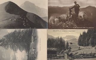 Adelboden Farmer Farming Swiss Cattle 4x Old Switzerland Postcard s