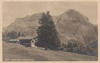 Adelboden Schirmtanne Switzerland Postcard