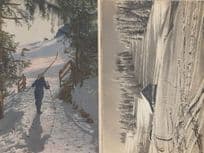 Adelboden Skier Goes Skiing & Spaghetti Tracks 2x Switzerland Postcard s