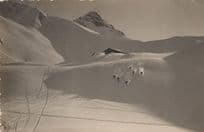 Adelboden Skiing Formation 6x Skiers Ski Race Switzerland Postcard