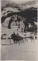 Adelboden Skiing Race Tied To Horse Antique Switzerland Postcard