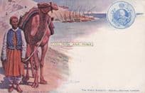 Aden Camel Driver The King George's V Subjects Boats Middle East Old Postcard