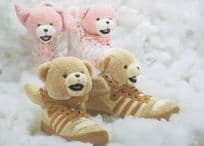 Adidas 2010 Basketball Trainers Shoes as Teddy Bears Postcard