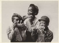 African American Old School Children Eating Corn Photo Postcard