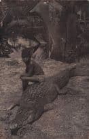 African Boy Hunter On Dead Crocodile Alligator Animal Hunting Old Postcard
