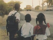 African Children At Lorry Coach in Curacao Holland Postcard